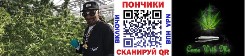 Где купить наркотики Прохладный A-PVP  KRAKEN ссылка  Псилоцибиновые грибы  ГАШИШ  Кокаин  МАРИХУАНА  Меф  АМФ 