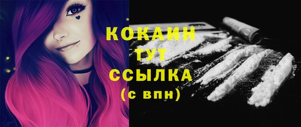 молекула духа Алексеевка