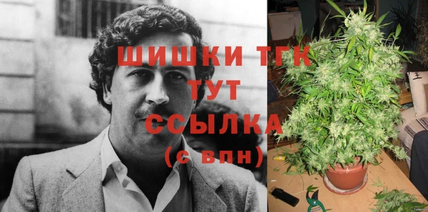 молекула духа Алексеевка