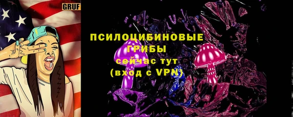 молекула духа Алексеевка