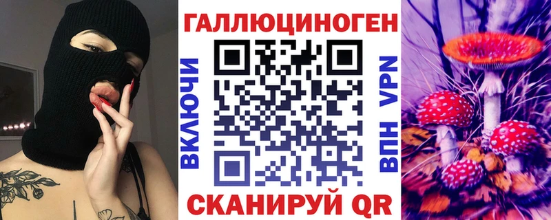 купить Прохладный Псилоцибиновые грибы GOLDEN TEACHER