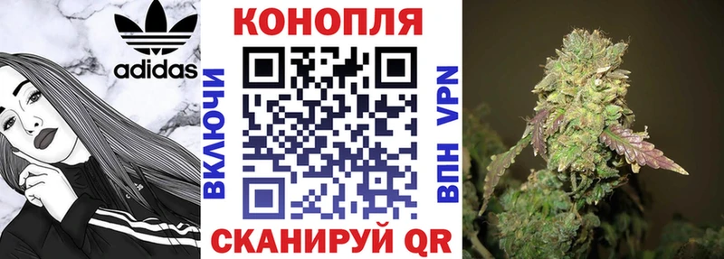 даркнет сайт  Прохладный  Шишки марихуана White Widow 